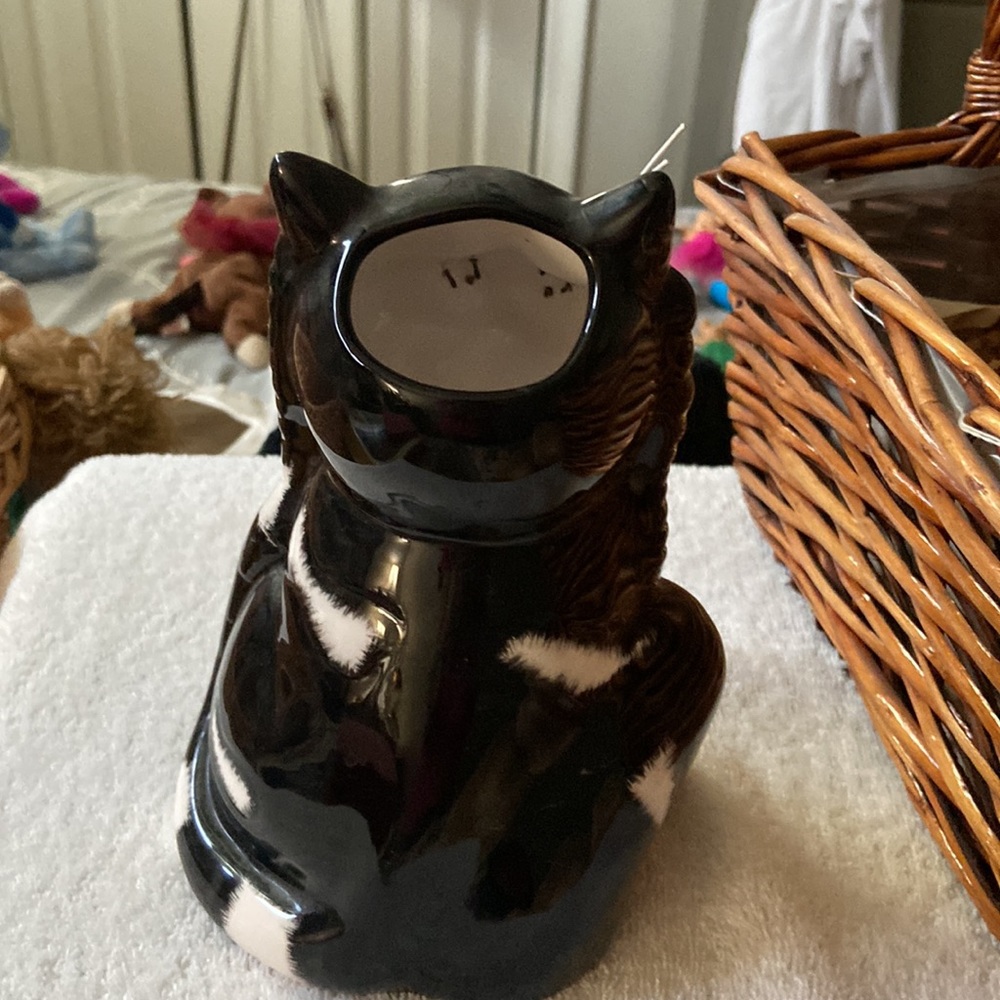 Cat - Picture 3 of 6